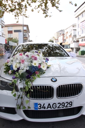 Bridal Car Decor
