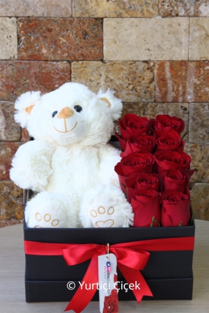 10 Red Roses and Bear