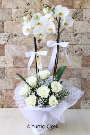 Orchid and 7 White Roses